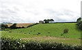 A country house with a view