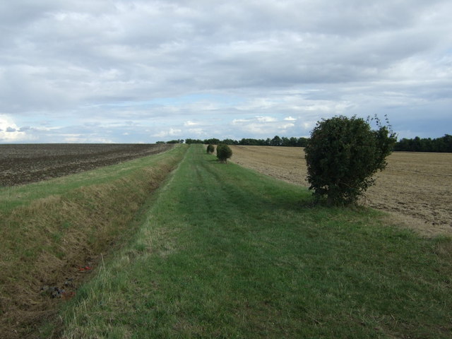 Bridleway and ditch