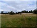 Footpath near Adstock