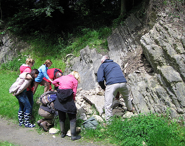 Geology group studying the limestone, Wren's Nest