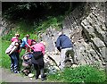 Geology group studying the limestone, Wren