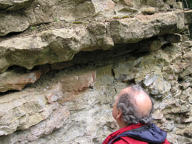 Nodular Limestone with bentonite layer