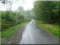 TQ8432 : Halden Lane in the rain by Marathon
