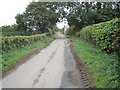 Moor Lane looking towards Bilbrough