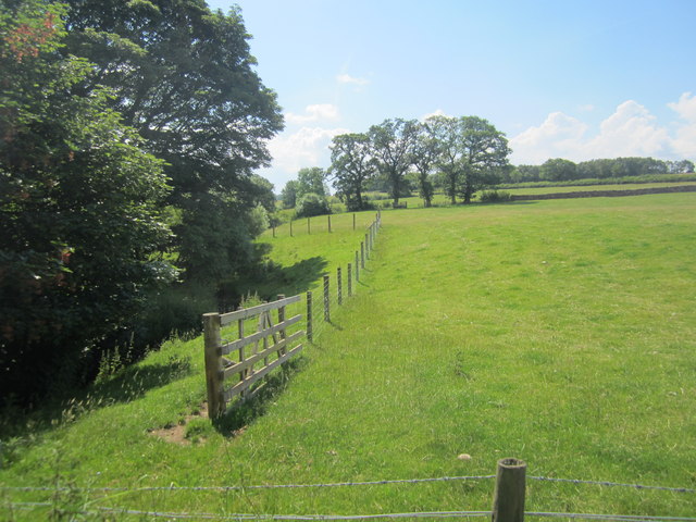 Looking south from Brook Farm