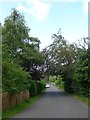 A greener section of Sauchie Road