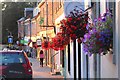 Floral displays, Melrose