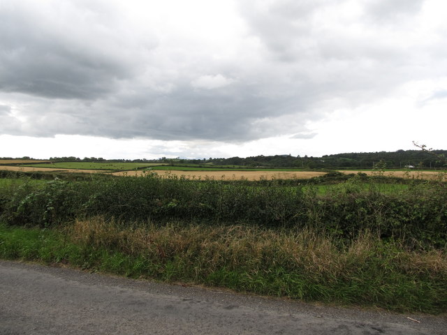 Farmland on the west side of Shore Road, Strangford