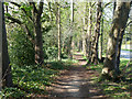 Path by Little Woodcote Lane