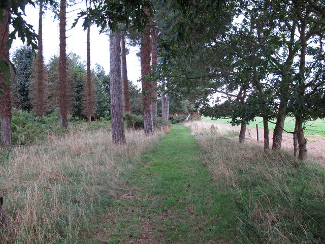 Public footpath at the edge of Tunstall Forest, Sudbourne