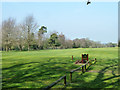 Hole 6, Woodcote Park Golf Club