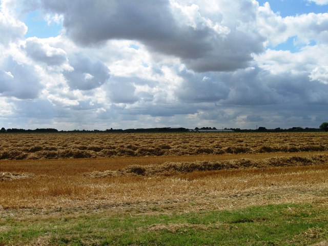 Looking towards Rowston Field Farm