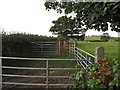 Improvised animal pen alongside the Shore Road