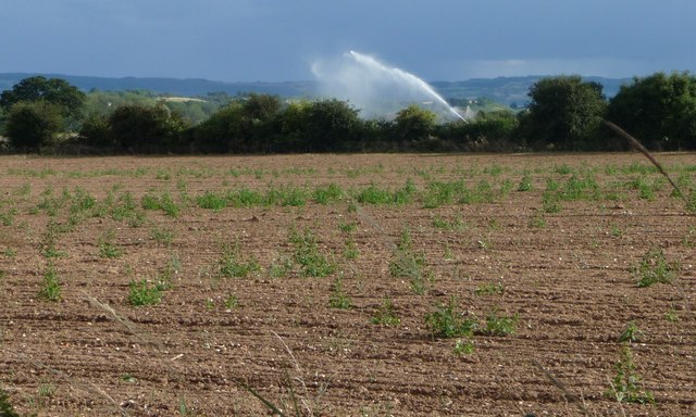 Irrigation near Abbot's Salford
