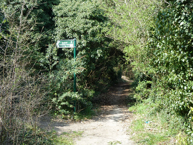 Path junction