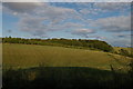 Small valley running down to the River Leach