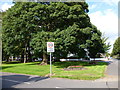 The green at Insole Grove West, Cardiff