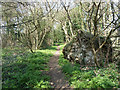 Footpath from Croydon Lane to Freedown Lane