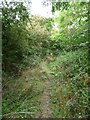 Bridleway heading north to Hoden Farm