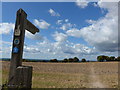 SU5227 : South Downs Way, Winchester to Exton (51) by Basher Eyre