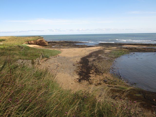 The coast north of Howick Haven