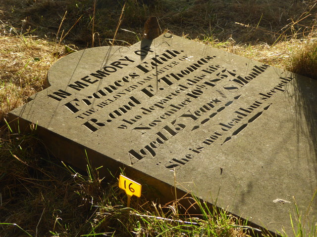 Fallen gravestone in the Dissenters' Burying Ground