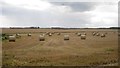 NU2516 : Straw bales in a field at Low Stead by Graham Robson