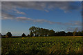 TG2128 : View north across the fields towards Banningham by Christopher Hilton