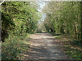 Bridleway Banstead 3