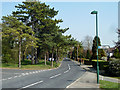 Pine Walk, south carriageway