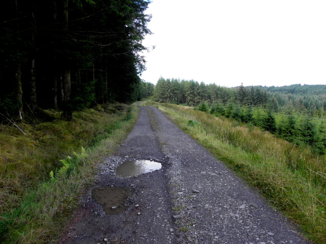 Forest road, Killeter Forest