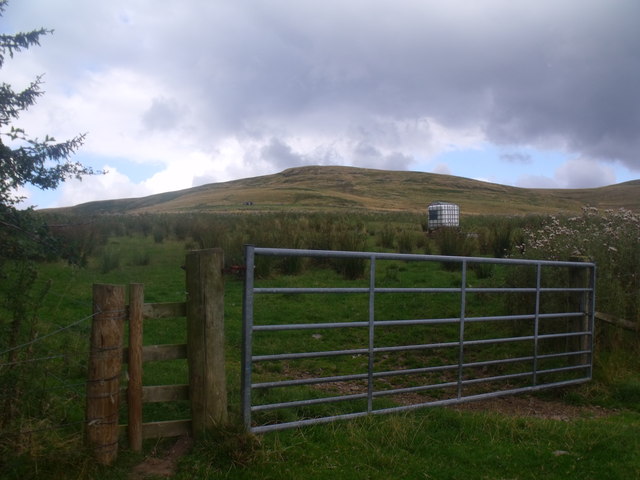Gateway to Shoulder Hill in Bowmont valley near Yetholm