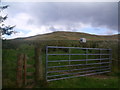 Gateway to Shoulder Hill in Bowmont valley near Yetholm