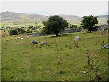 SH7371 : Field path on valley side of Afon Tafolog by Christopher Hall