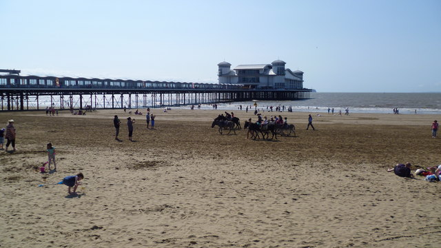 Donkeys on the sands at Weston-super-Mare in August
