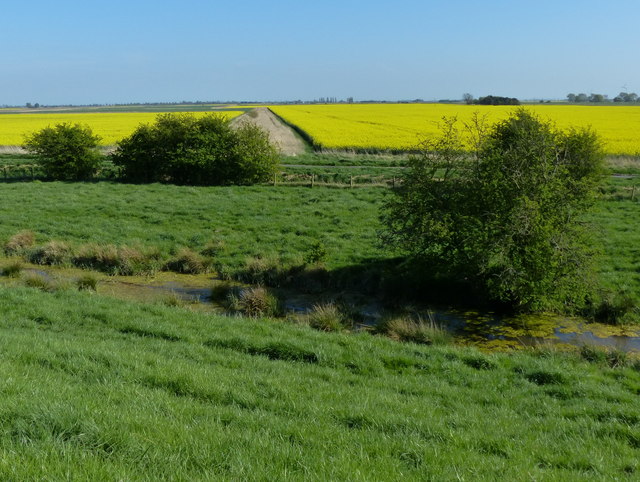 View south across Pinchbeck South Fen
