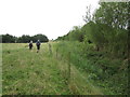 Footpath  towards  The  Elms