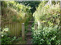 Steps from Keckwick Lane leading to Daresbury Firs