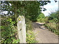 Delamere way marker post near Hurst Farm