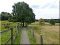 The Mersey Valley Trail at Hill Cliffe