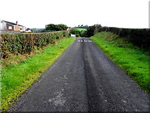 H6058 : Tullylinton Road by Kenneth  Allen