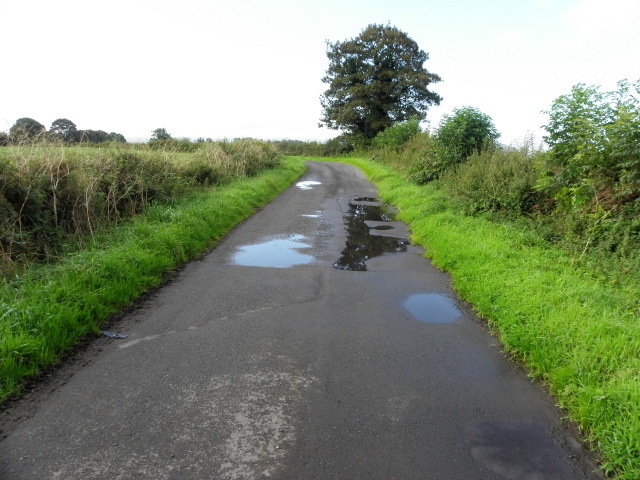 Puddles along Tullylinton Road
