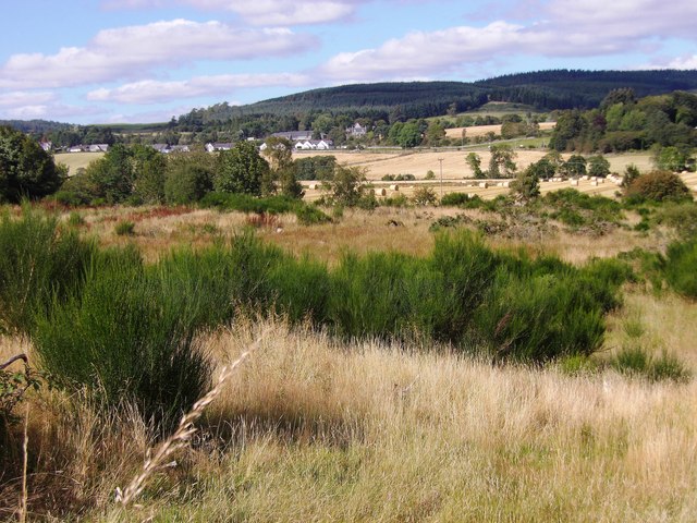 Scrubland east of North Footie