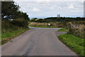 North Devon : Country Lane