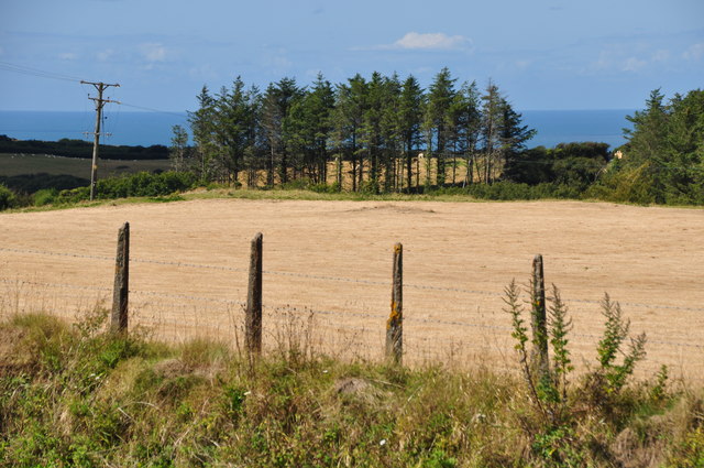 North Devon : Grassy Field