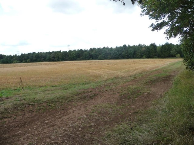 Track to the northern end of Broughtondowns Plantation