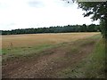 Track to the northern end of Broughtondowns Plantation