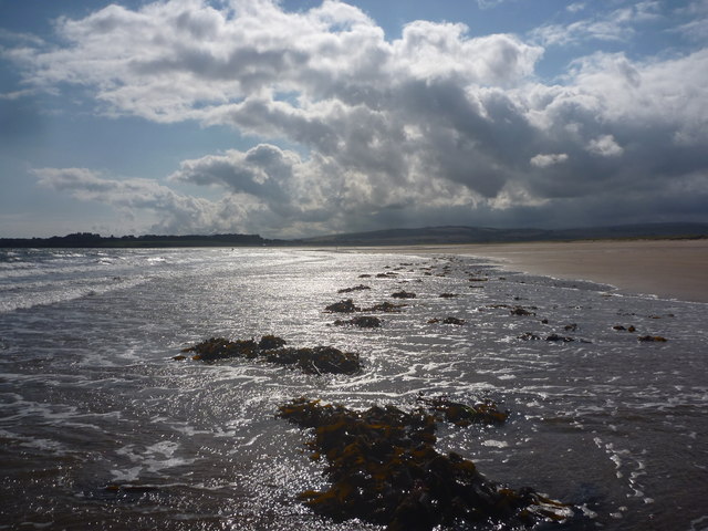 Coastal East Lothian : Seaweed, Belhaven Bay