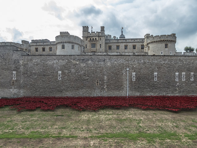Poppies in the Moat, Tower of London, E1