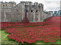 TQ3380 : Plaque about Poppies in the Moat, Tower of London, E1 by Christine Matthews